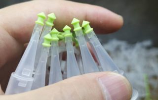 Universal Pipette Tips