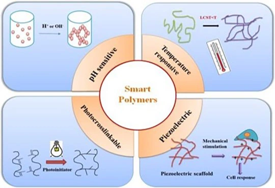 Biocompatible Polymers