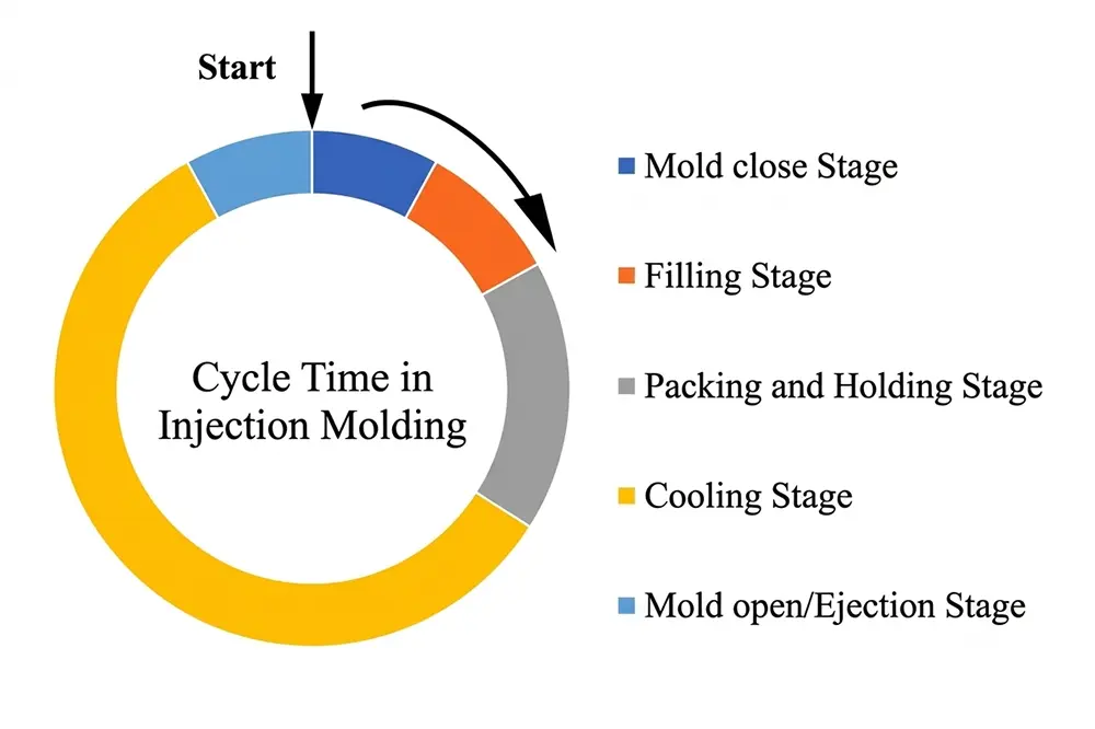 Cycle into Phases