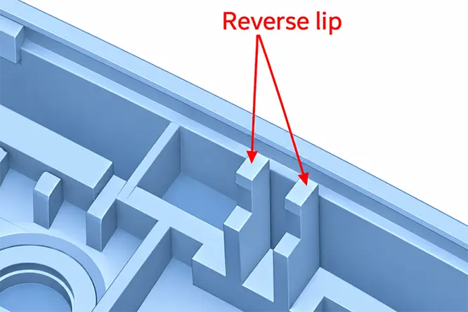 Reverse Lip